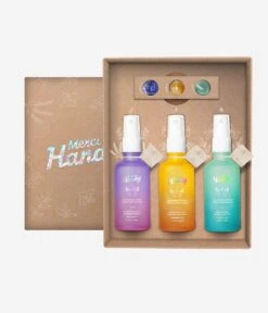 Kit Sprays Mains Nettoyants